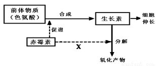 下列關(guān)于細(xì)胞結(jié)構(gòu)和功能的敘述中.錯(cuò)誤的是a.植物葉肉細(xì)胞線粒體基質(zhì)中的co2可以直接穿越8層磷脂分子參與光合作用過程b.細(xì)胞內(nèi)的atp不一定都在生物膜上合成c.葉綠體中基粒和類囊體擴(kuò)展了捕獲光能的膜面積