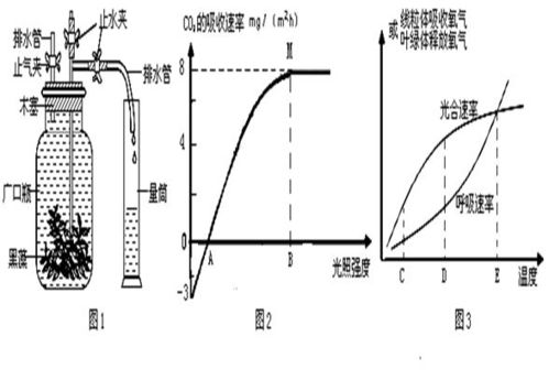 一飛船在某行星表面附近沿圓軌道繞該行星飛行.認(rèn)為行星是密度均勻的球體.要確定該行星的密度.只需要測量 a.飛船的軌道半徑 b.飛船的的運行速度 c.飛船的運行周期
