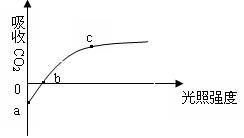 14分 某研究者利用栽在花盆中的植物,對(duì)植物的光合作用與呼吸作用進(jìn)行了相關(guān)的研究,圖甲表示此盆綠色植物在兩種不同溫度下釋放氧氣的快慢與光照強(qiáng)度的關(guān)系,圖乙是測(cè)定圖甲縱坐標(biāo)上