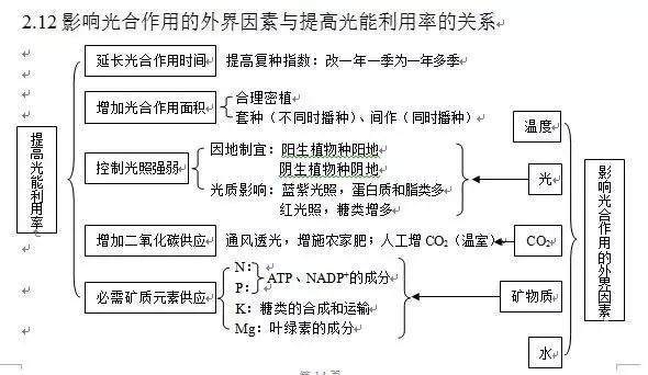 詳解光合作用，輕松掌握高中生物知識(shí)點(diǎn)