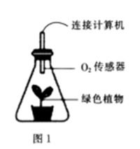 光合作用練習(xí)題及答案解析
