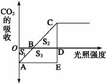 玉米光合作用強(qiáng)度與光照強(qiáng)度關(guān)系解析