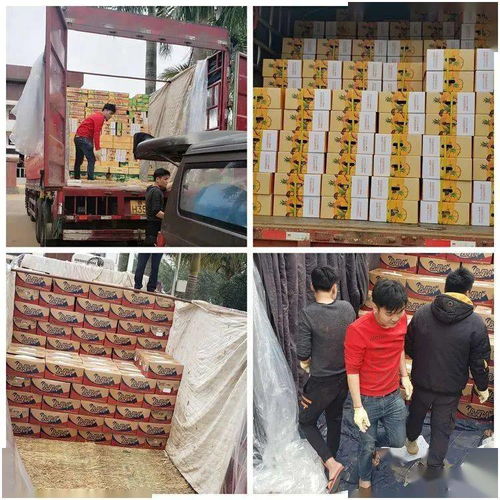 同舟共冀，共同戰(zhàn)“疫”——河北博泉集團捐贈32噸澄邁農產品支援抗疫一線